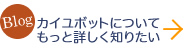 もっと詳しく