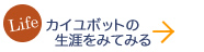 年表を見てみる