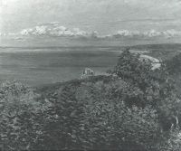 No.7