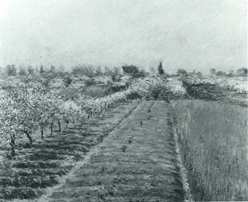 花咲くリンゴの木、コロンブの丘